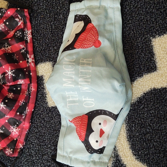 Bespoke Winter-Themed Adult Face Masks -Set of 2 - EUC - Picture 3 of 12